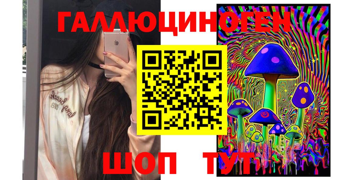 Галлюциногенные грибы Psilocybine cubensis Ахтубинск